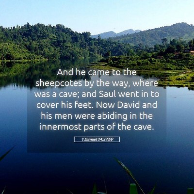 Picture 05 - 1 Samuel 24:3 ASV - And he came to the sheepcotes by the way, where - Bible Verse Picture