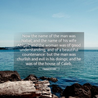 Picture 05 - 1 Samuel 25:3 ASV - Now the name of the man was Nabal; and the name - Bible Verse Picture