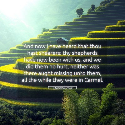 Picture 05 - 1 Samuel 25:7 ASV - And now I have heard that thou hast shearers: thy - Bible Verse Picture