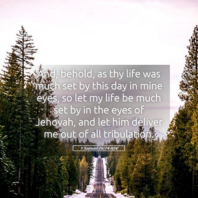 Picture 05 - 1 Samuel 26:24 ASV - And, behold, as thy life was much set by this day - Bible Verse Picture