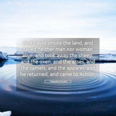 Picture 05 - 1 Samuel 27:9 ASV - And David smote the land, and saved neither man - Bible Verse Picture