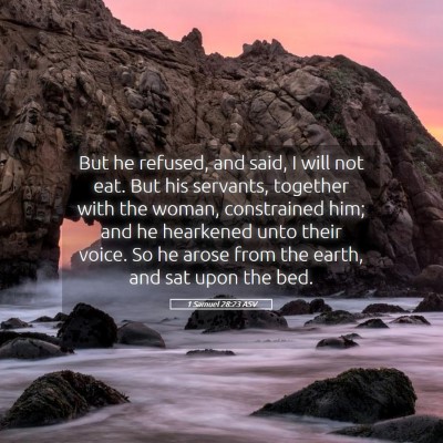 Picture 05 - 1 Samuel 28:23 ASV - But he refused, and said, I will not eat. But his - Bible Verse Picture