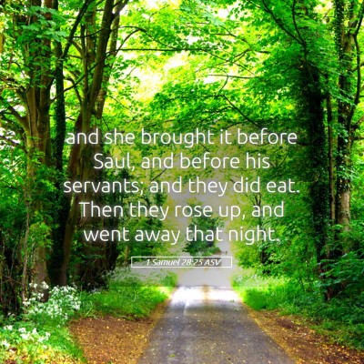 Picture 05 - 1 Samuel 28:25 ASV - and she brought it before Saul, and before his - Bible Verse Picture