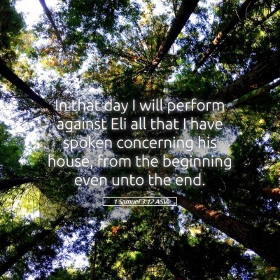 Picture 05 - 1 Samuel 3:12 ASV - In that day I will perform against Eli all that I - Bible Verse Picture