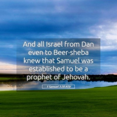 Picture 05 - 1 Samuel 3:20 ASV - And all Israel from Dan even to Beer-sheba knew - Bible Verse Picture