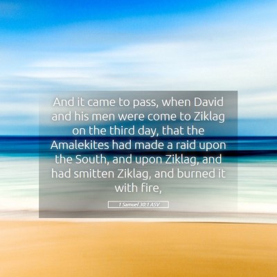 Picture 05 - 1 Samuel 30:1 ASV - And it came to pass, when David and his men were - Bible Verse Picture