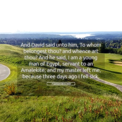 Picture 05 - 1 Samuel 30:13 ASV - And David said unto him, To whom belongest thou? - Bible Verse Picture
