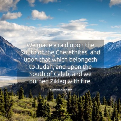 Picture 05 - 1 Samuel 30:14 ASV - We made a raid upon the South of the Cherethites, - Bible Verse Picture