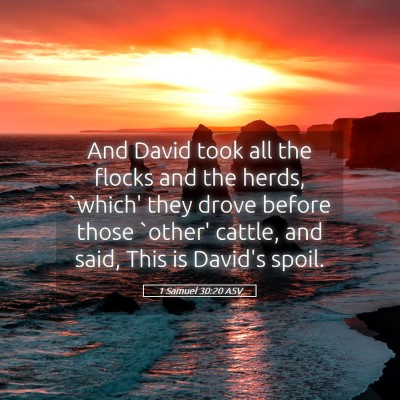 Picture 05 - 1 Samuel 30:20 ASV - And David took all the flocks and the herds, - Bible Verse Picture