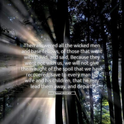 Picture 05 - 1 Samuel 30:22 ASV - Then answered all the wicked men and base - Bible Verse Picture