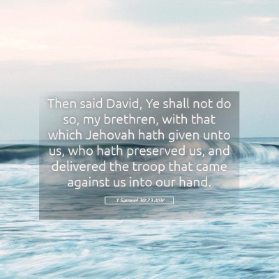 Picture 05 - 1 Samuel 30:23 ASV - Then said David, Ye shall not do so, my brethren, - Bible Verse Picture