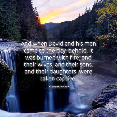 Picture 05 - 1 Samuel 30:3 ASV - And when David and his men came to the city, - Bible Verse Picture