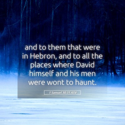 Picture 05 - 1 Samuel 30:31 ASV - and to them that were in Hebron, and to all the - Bible Verse Picture