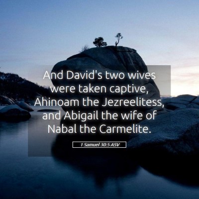 Picture 05 - 1 Samuel 30:5 ASV - And David's two wives were taken captive, Ahinoam - Bible Verse Picture