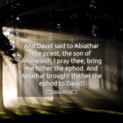 Picture 05 - 1 Samuel 30:7 ASV - And David said to Abiathar the priest, the son of - Bible Verse Picture