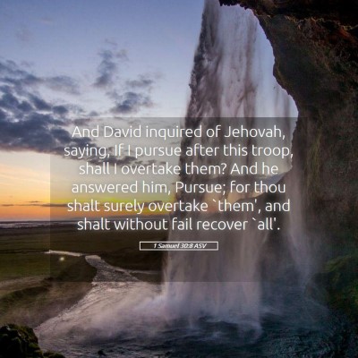 Picture 05 - 1 Samuel 30:8 ASV - And David inquired of Jehovah, saying, If I - Bible Verse Picture