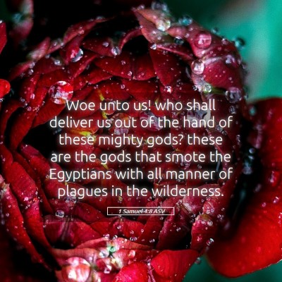 Picture 05 - 1 Samuel 4:8 ASV - Woe unto us! who shall deliver us out of the hand - Bible Verse Picture