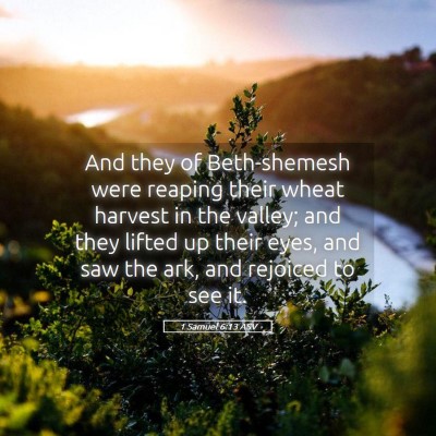 Picture 05 - 1 Samuel 6:13 ASV - And they of Beth-shemesh were reaping their wheat - Bible Verse Picture