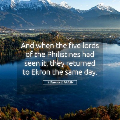 Picture 05 - 1 Samuel 6:16 ASV - And when the five lords of the Philistines had - Bible Verse Picture