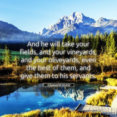 Picture 05 - 1 Samuel 8:14 ASV - And he will take your fields, and your vineyards, - Bible Verse Picture