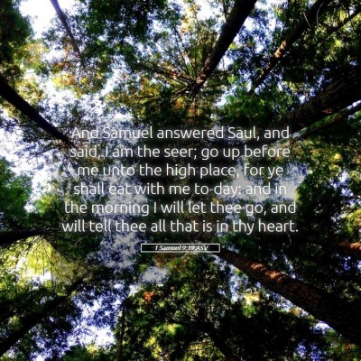Picture 05 - 1 Samuel 9:19 ASV - And Samuel answered Saul, and said, I am the - Bible Verse Picture