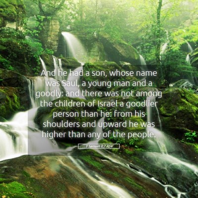 Picture 05 - 1 Samuel 9:2 ASV - And he had a son, whose name was Saul, a young - Bible Verse Picture