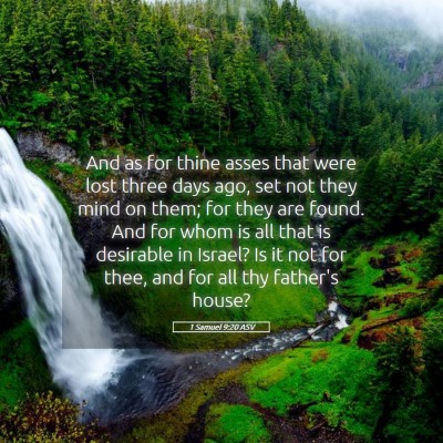 Picture 05 - 1 Samuel 9:20 ASV - And as for thine asses that were lost three days - Bible Verse Picture