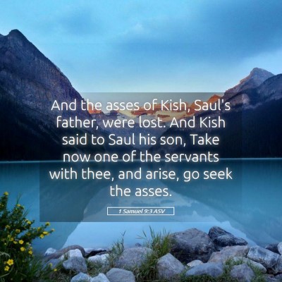Picture 05 - 1 Samuel 9:3 ASV - And the asses of Kish, Saul's father, were lost. - Bible Verse Picture