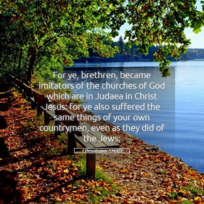 Picture 05 - 1 Thessalonians 2:14 ASV - For ye, brethren, became imitators of the - Bible Verse Picture