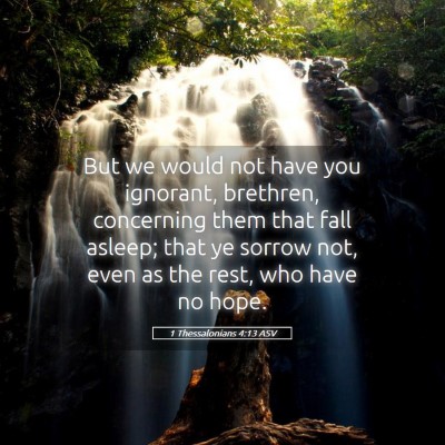 Picture 05 - 1 Thessalonians 4:13 ASV - But we would not have you ignorant, brethren, - Bible Verse Picture