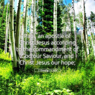 Picture 05 - 1 Timothy 1:1 ASV - Paul, an apostle of Christ Jesus according to the - Bible Verse Picture