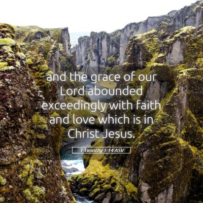 Picture 05 - 1 Timothy 1:14 ASV - and the grace of our Lord abounded exceedingly - Bible Verse Picture