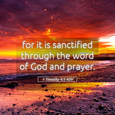 Picture 05 - 1 Timothy 4:5 ASV - for it is sanctified through the word of God and - Bible Verse Picture