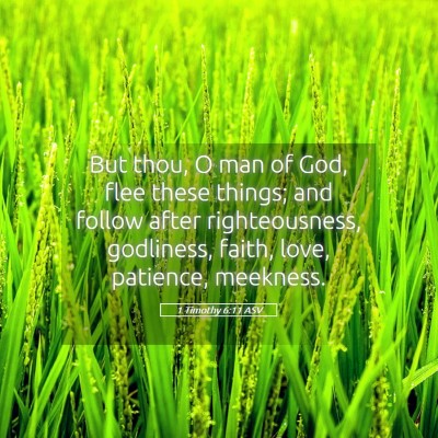 Picture 05 - 1 Timothy 6:11 ASV - But thou, O man of God, flee these things; and - Bible Verse Picture