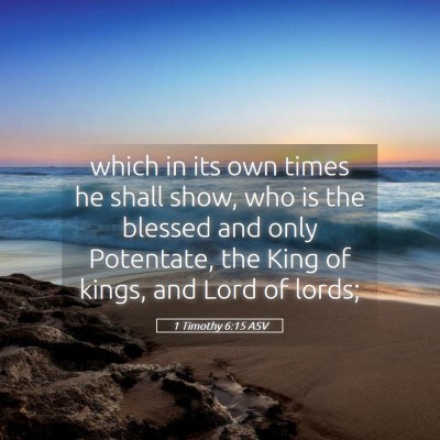 Picture 05 - 1 Timothy 6:15 ASV - which in its own times he shall show, who is the - Bible Verse Picture