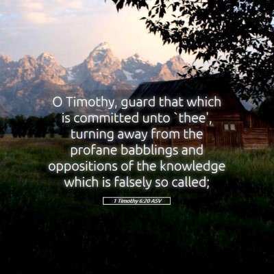 Picture 05 - 1 Timothy 6:20 ASV - O Timothy, guard that which is committed unto - Bible Verse Picture
