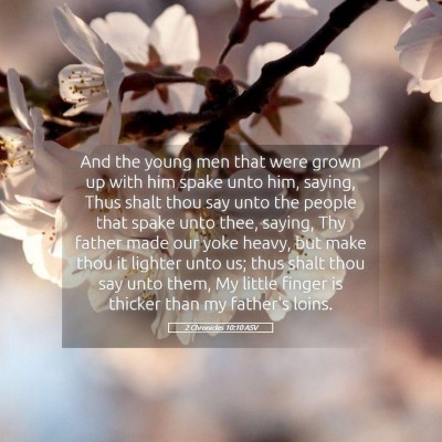 Picture 05 - 2 Chronicles 10:10 ASV - And the young men that were grown up with him - Bible Verse Picture