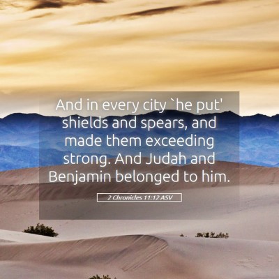 Picture 05 - 2 Chronicles 11:12 ASV - And in every city `he put' shields and spears, - Bible Verse Picture