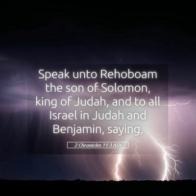 Picture 05 - 2 Chronicles 11:3 ASV - Speak unto Rehoboam the son of Solomon, king of - Bible Verse Picture