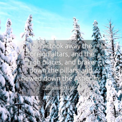 Picture 05 - 2 Chronicles 14:3 ASV - for he took away the foreign altars, and the high - Bible Verse Picture