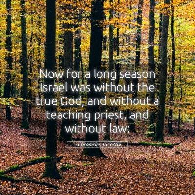 Picture 05 - 2 Chronicles 15:3 ASV - Now for a long season Israel was without the true - Bible Verse Picture
