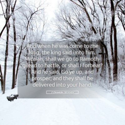 Picture 05 - 2 Chronicles 18:14 ASV - And when he was come to the king, the king said - Bible Verse Picture