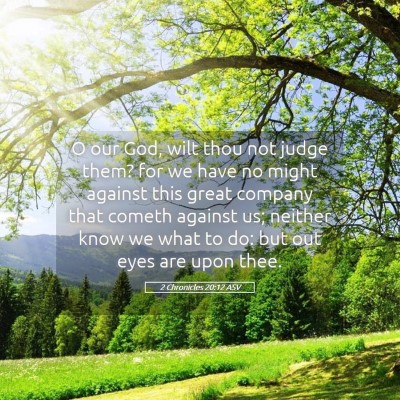 Picture 05 - 2 Chronicles 20:12 ASV - O our God, wilt thou not judge them? for we have - Bible Verse Picture