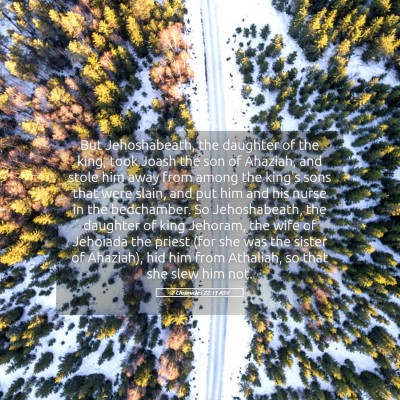 Picture 05 - 2 Chronicles 22:11 ASV - But Jehoshabeath, the daughter of the king, took - Bible Verse Picture
