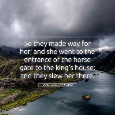 Picture 05 - 2 Chronicles 23:15 ASV - So they made way for her; and she went to the - Bible Verse Picture