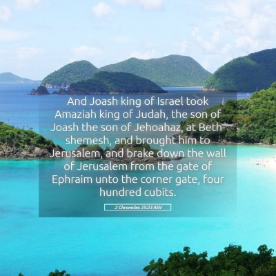 Picture 05 - 2 Chronicles 25:23 ASV - And Joash king of Israel took Amaziah king of - Bible Verse Picture