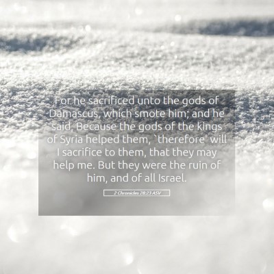 Picture 05 - 2 Chronicles 28:23 ASV - For he sacrificed unto the gods of Damascus, - Bible Verse Picture