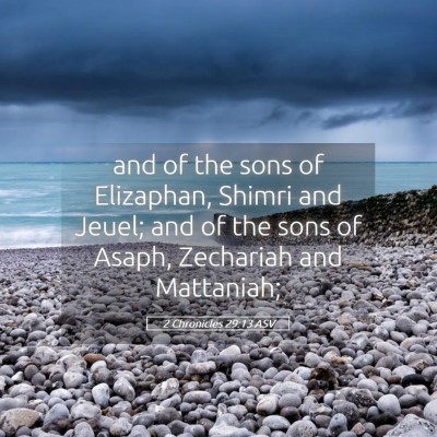 Picture 05 - 2 Chronicles 29:13 ASV - and of the sons of Elizaphan, Shimri and Jeuel; - Bible Verse Picture