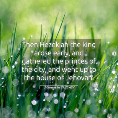 Picture 05 - 2 Chronicles 29:20 ASV - Then Hezekiah the king arose early, and gathered - Bible Verse Picture