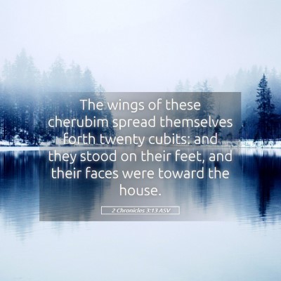 Picture 05 - 2 Chronicles 3:13 ASV - The wings of these cherubim spread themselves - Bible Verse Picture